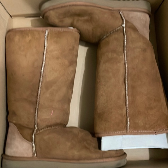 Classic Tall chestnut Uggs - Picture 1 of 4